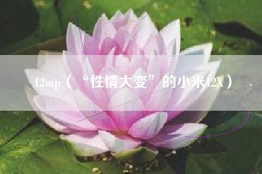 12mp（“性情大变”的小米12X）