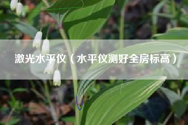 激光水平仪（水平仪测好全房标高）