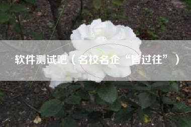 软件测试吧（名校名企“皆过往”）