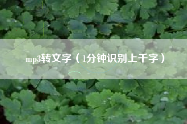 mp3转文字（1分钟识别上千字）