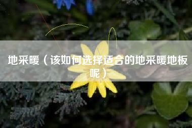 地采暖（该如何选择适合的地采暖地板呢）