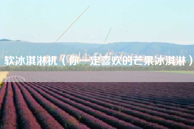 软冰淇淋机（你一定喜欢的芒果冰淇淋）