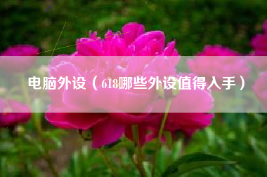 电脑外设（618哪些外设值得入手）