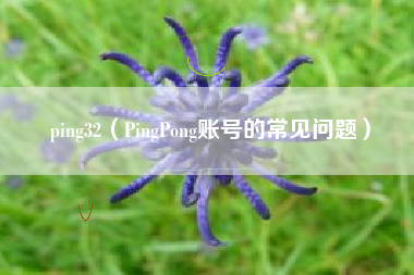 ping32（PingPong账号的常见问题）