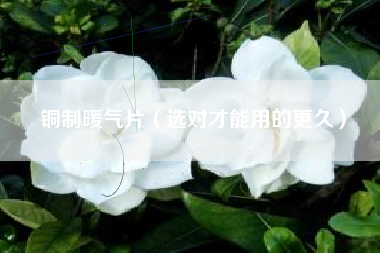 铜制暖气片（选对才能用的更久）