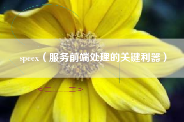 speex（服务前端处理的关键利器）