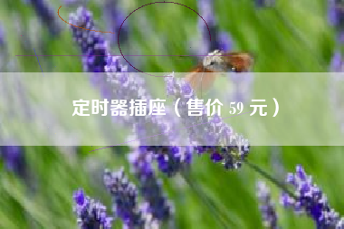 定时器插座（售价 59 元）