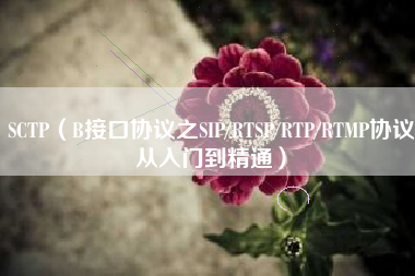 SCTP（B接口协议之SIP/RTSP/RTP/RTMP协议从入门到精通）