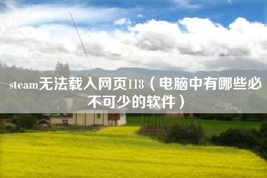 steam无法载入网页118（电脑中有哪些必不可少的软件）