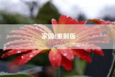 家园2重制版