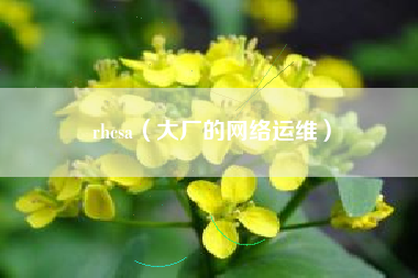 rhcsa（大厂的网络运维）
