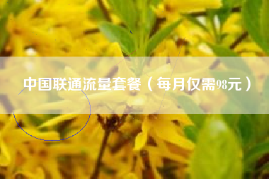 中国联通流量套餐(每月仅需98元) 中国联通流量套餐(每月仅需98元)