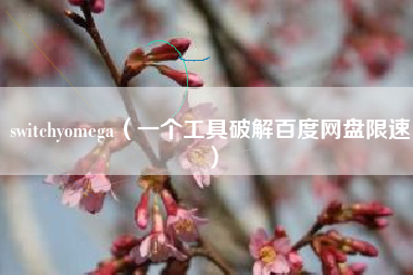 switchyomega（一个工具破解百度网盘限速）