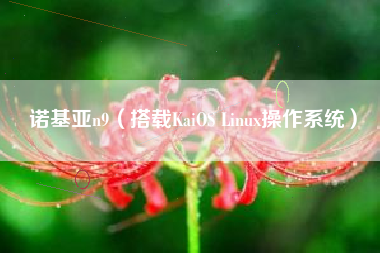 诺基亚n9（搭载KaiOS Linux操作系统）