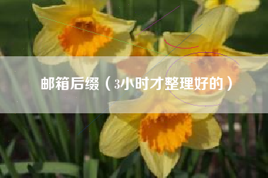 邮箱后缀（3小时才整理好的）