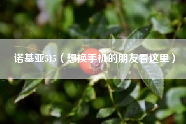 诺基亚515（想换手机的朋友看这里）