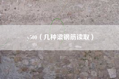 y500（几种梁钢筋读取）