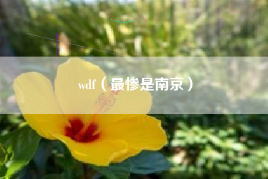 wdf(最惨是南京) wdf(最惨是南京)