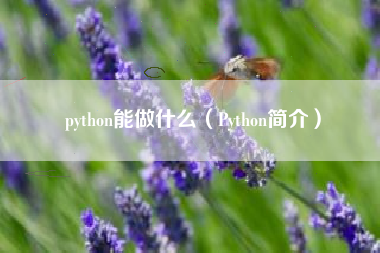 python能做什么（Python简介）