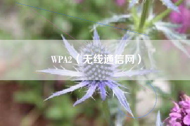 WPA2（无线通信网）