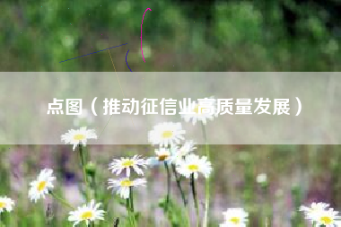 点图（推动征信业高质量发展）
