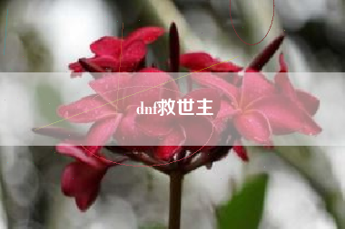 dnf救世主