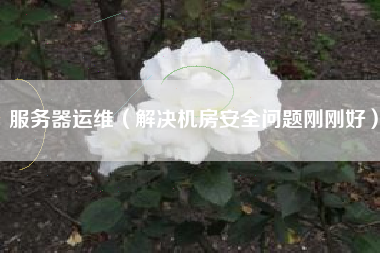 服务器运维（解决机房安全问题刚刚好）