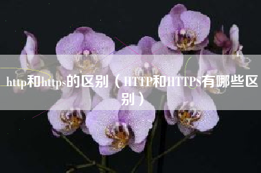 http和https的区别（HTTP和HTTPS有哪些区别）