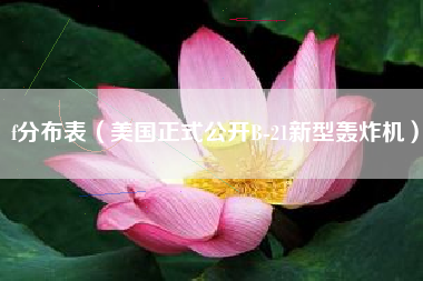 f分布表（美国正式公开B-21新型轰炸机）