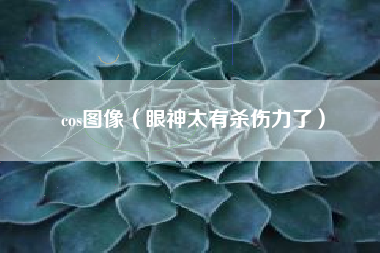 cos图像（眼神太有杀伤力了）