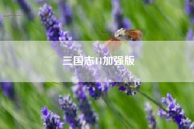 三国志11加强版