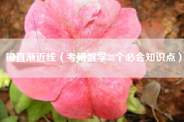 铅直渐近线（考研数学38个必会知识点）