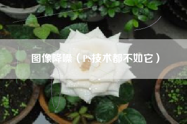 图像降噪（PS技术都不如它）
