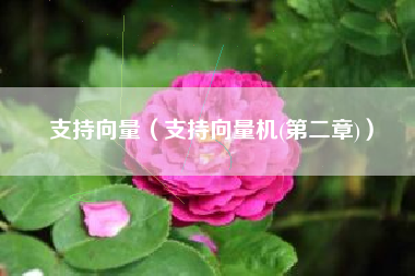 支持向量（支持向量机(第二章)）