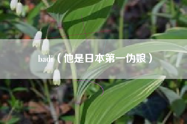 badi（他是日本第一伪娘）