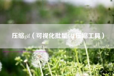 压缩gif（可视化批量GIF压缩工具）