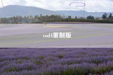 cod4重制版