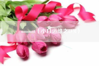 umount（小白运维之LVM）