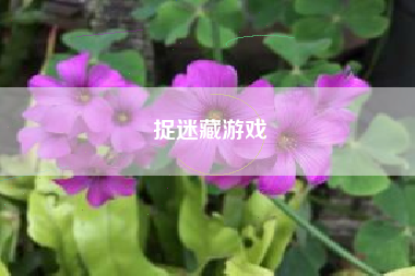 捉迷藏游戏