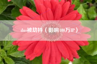 dns被劫持（影响400万IP）