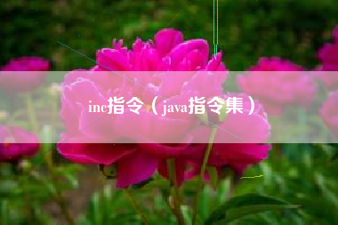 inc指令（java指令集）