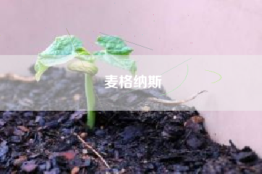 麦格纳斯