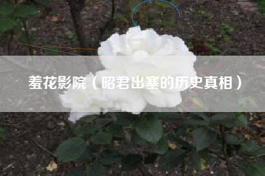 羞花影院（昭君出塞的历史真相）