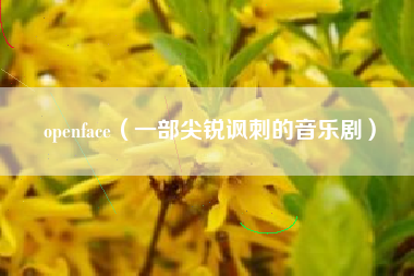 openface（一部尖锐讽刺的音乐剧）