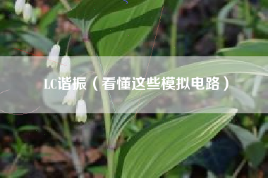 LC谐振（看懂这些模拟电路）