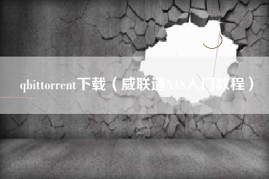 qbittorrent下载（威联通NAS入门教程）