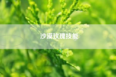 沙漠玫瑰技能