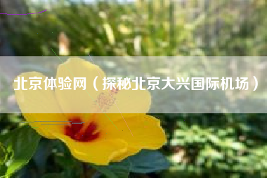 北京体验网（探秘北京大兴国际机场）