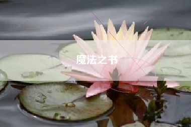 魔法之书