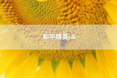 和平精英cdk